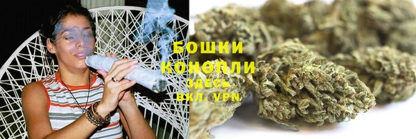 гидра Медногорск
