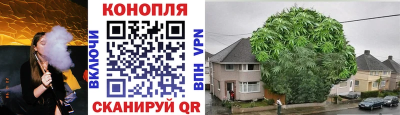 Каннабис сатива  закладки  MEGA сайт  Нижняя Салда 
